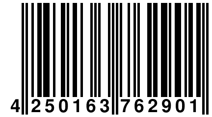 4 250163 762901