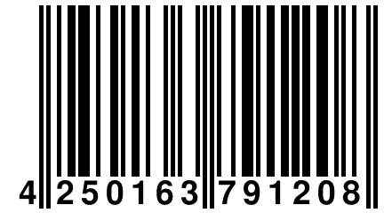 4 250163 791208