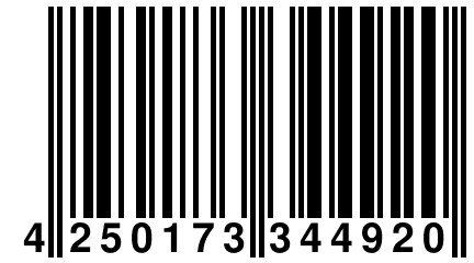 4 250173 344920