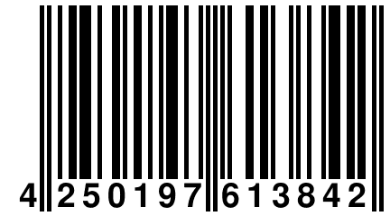 4 250197 613842