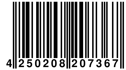 4 250208 207367