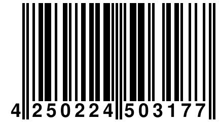 4 250224 503177