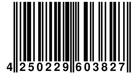 4 250229 603827