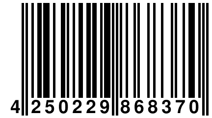 4 250229 868370