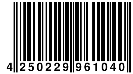 4 250229 961040