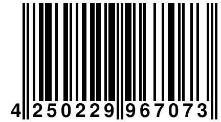 4 250229 967073