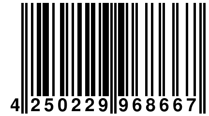 4 250229 968667