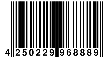 4 250229 968889