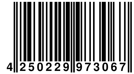 4 250229 973067