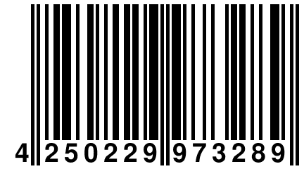 4 250229 973289