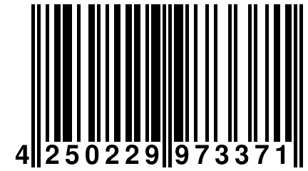 4 250229 973371