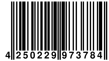 4 250229 973784