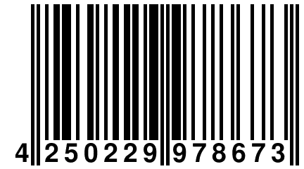 4 250229 978673