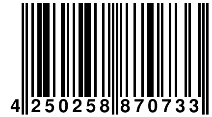 4 250258 870733