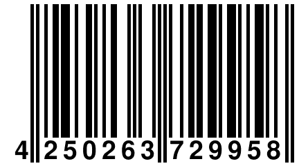 4 250263 729958