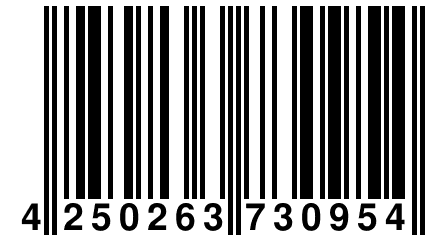 4 250263 730954