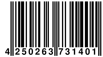 4 250263 731401