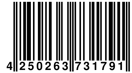 4 250263 731791