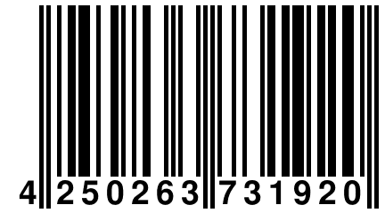 4 250263 731920