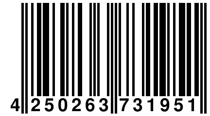 4 250263 731951