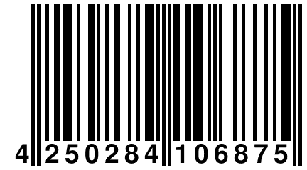 4 250284 106875