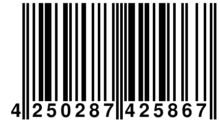 4 250287 425867