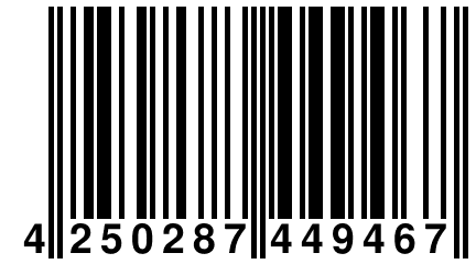 4 250287 449467