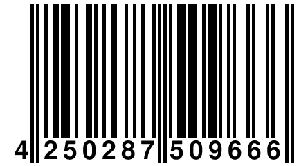 4 250287 509666