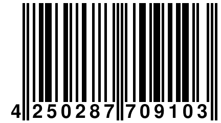 4 250287 709103