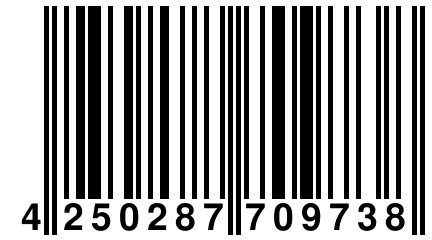 4 250287 709738