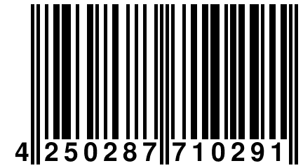 4 250287 710291