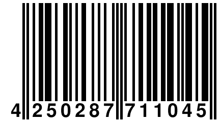 4 250287 711045