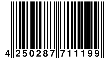 4 250287 711199