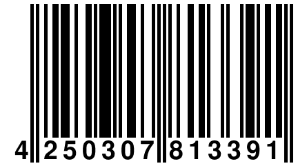 4 250307 813391