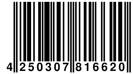 4 250307 816620