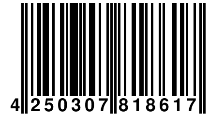 4 250307 818617