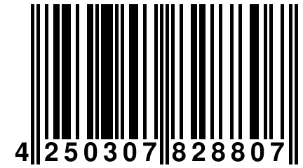 4 250307 828807