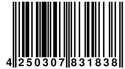 4 250307 831838