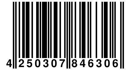 4 250307 846306