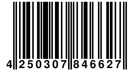 4 250307 846627