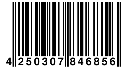 4 250307 846856