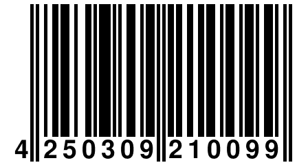 4 250309 210099