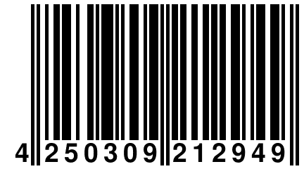 4 250309 212949