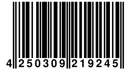 4 250309 219245