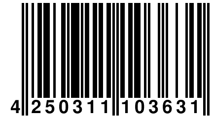 4 250311 103631