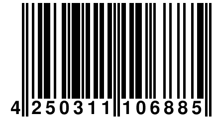 4 250311 106885