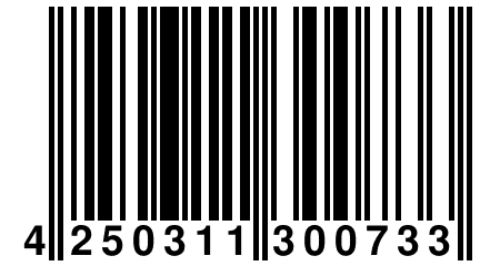 4 250311 300733