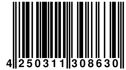 4 250311 308630