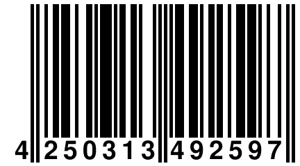 4 250313 492597