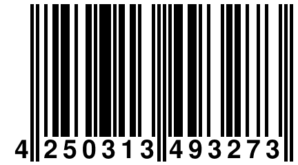 4 250313 493273